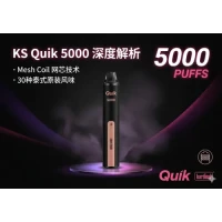领略泰式雾化美学：Kardinal Stick (KS) Quik 5000 深度解析